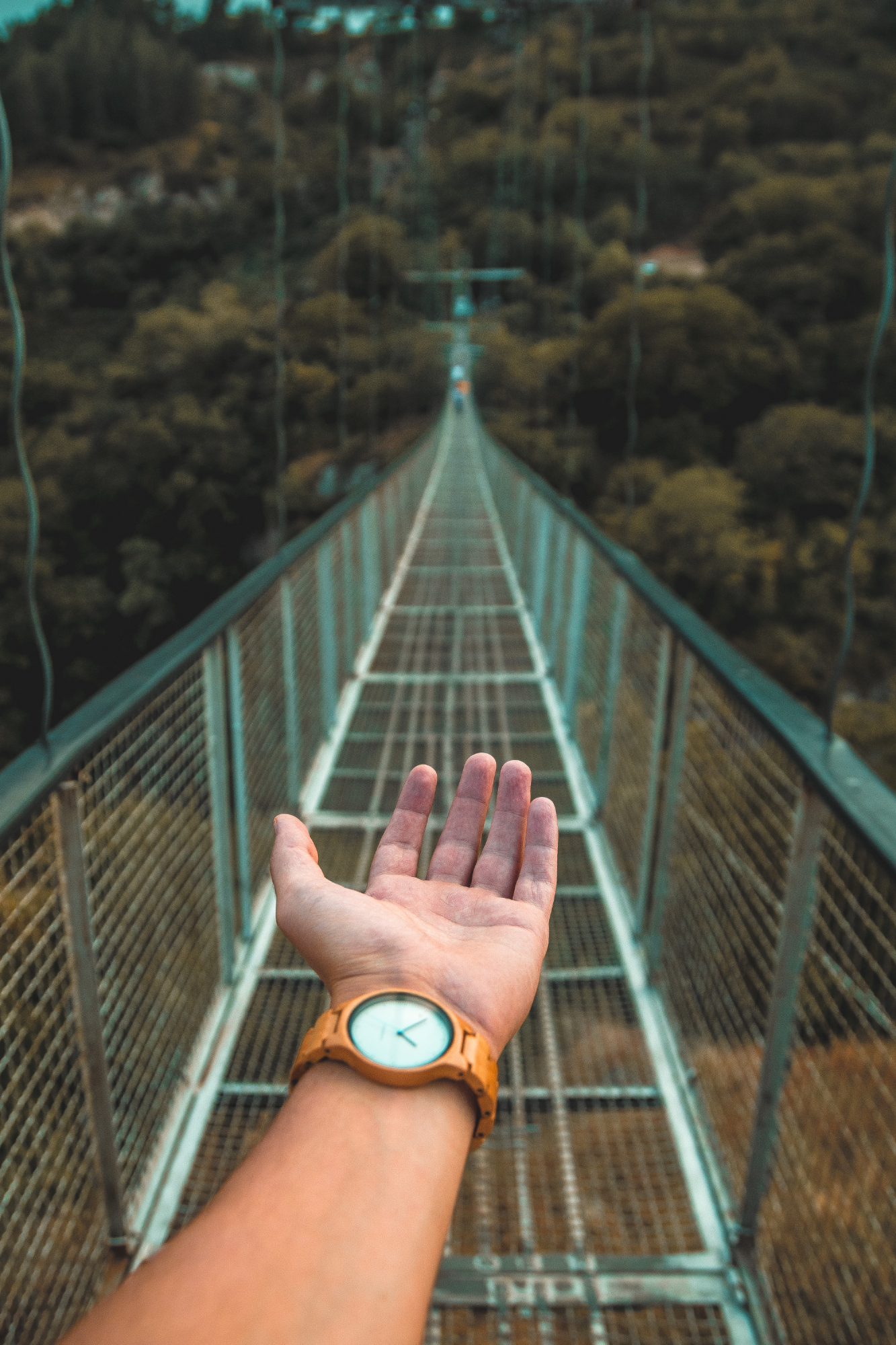 help cross bridge